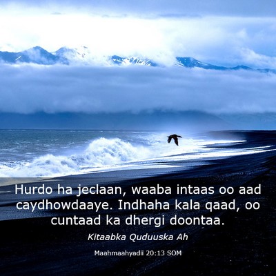 Picture 03 - Maahmaahyadii 20:13 SOM - Hurdo ha jeclaan, waaba intaas oo aad - Bible Verse Picture