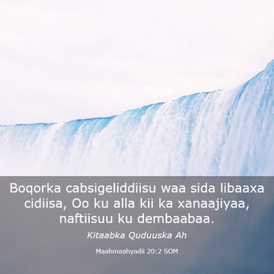 Picture 03 - Maahmaahyadii 20:2 SOM - Boqorka cabsigeliddiisu waa sida libaaxa cidiisa, - Bible Verse Picture