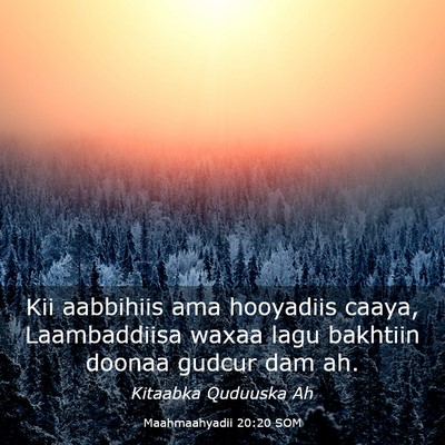 Picture 03 - Maahmaahyadii 20:20 SOM - Kii aabbihiis ama hooyadiis caaya, Laambaddiisa - Bible Verse Picture