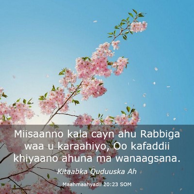 Picture 03 - Maahmaahyadii 20:23 SOM - Miisaanno kala cayn ahu Rabbiga waa u karaahiyo, - Bible Verse Picture