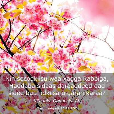 Picture 03 - Maahmaahyadii 20:24 SOM - Nin socodkiisu waa xagga Rabbiga, Haddaba sidaas - Bible Verse Picture