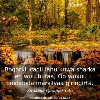 Picture 03 - Maahmaahyadii 20:26 SOM - Boqorkii caqli lahu kuwa sharka leh wuu hufaa, Oo - Bible Verse Picture