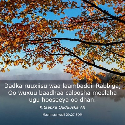 Picture 03 - Maahmaahyadii 20:27 SOM - Dadka ruuxiisu waa laambaddii Rabbiga, Oo wuxuu - Bible Verse Picture