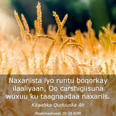 Picture 03 - Maahmaahyadii 20:28 SOM - Naxariista iyo runtu boqorkay ilaaliyaan, Oo - Bible Verse Picture