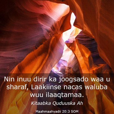 Picture 03 - Maahmaahyadii 20:3 SOM - Nin inuu dirir ka joogsado waa u sharaf, - Bible Verse Picture