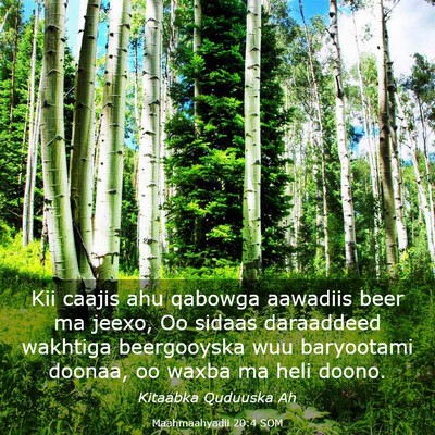 Picture 03 - Maahmaahyadii 20:4 SOM - Kii caajis ahu qabowga aawadiis beer ma jeexo, Oo - Bible Verse Picture
