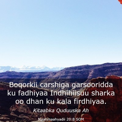 Picture 03 - Maahmaahyadii 20:8 SOM - Boqorkii carshiga garsooridda ku fadhiyaa - Bible Verse Picture