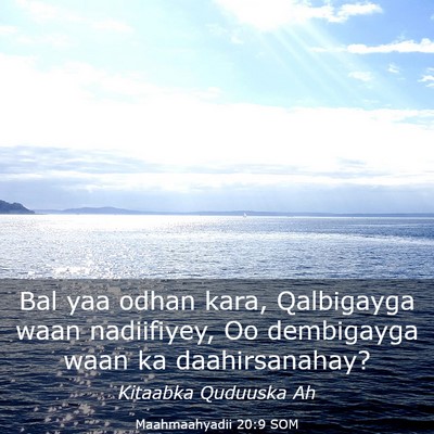 Picture 03 - Maahmaahyadii 20:9 SOM - Bal yaa odhan kara, Qalbigayga waan nadiifiyey, - Bible Verse Picture