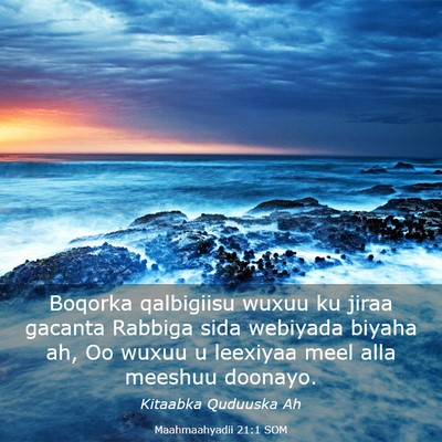 Picture 03 - Maahmaahyadii 21:1 SOM - Boqorka qalbigiisu wuxuu ku jiraa gacanta Rabbiga - Bible Verse Picture