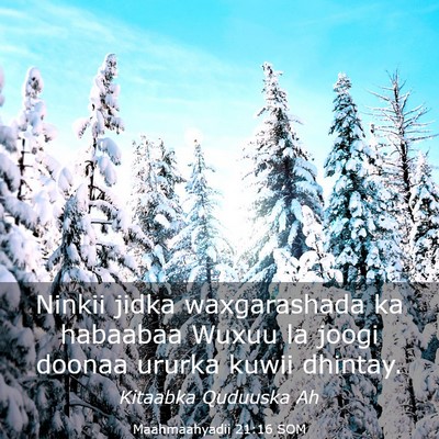 Picture 03 - Maahmaahyadii 21:16 SOM - Ninkii jidka waxgarashada ka habaabaa Wuxuu la - Bible Verse Picture