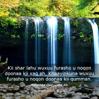 Picture 03 - Maahmaahyadii 21:18 SOM - Kii shar lahu wuxuu furasho u noqon doonaa kii - Bible Verse Picture
