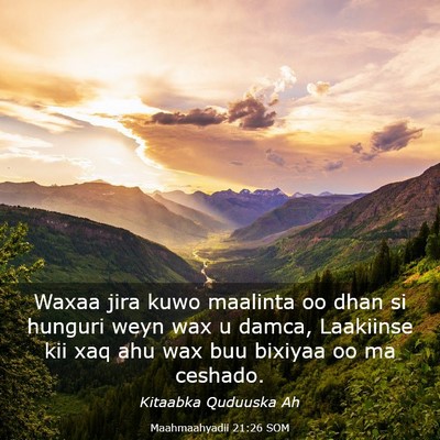 Picture 03 - Maahmaahyadii 21:26 SOM - Waxaa jira kuwo maalinta oo dhan si hunguri weyn - Bible Verse Picture