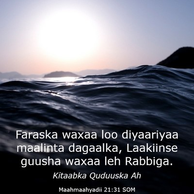Picture 03 - Maahmaahyadii 21:31 SOM - Faraska waxaa loo diyaariyaa maalinta dagaalka, - Bible Verse Picture