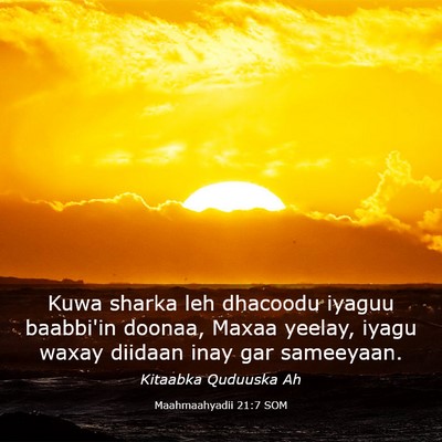Picture 03 - Maahmaahyadii 21:7 SOM - Kuwa sharka leh dhacoodu iyaguu baabbi'in doonaa, - Bible Verse Picture
