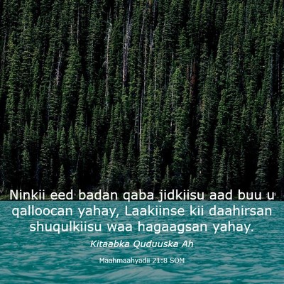 Picture 03 - Maahmaahyadii 21:8 SOM - Ninkii eed badan qaba jidkiisu aad buu u - Bible Verse Picture