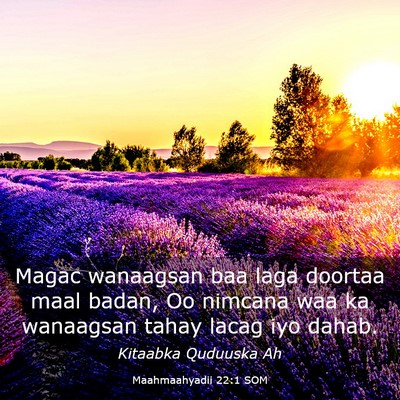 Picture 03 - Maahmaahyadii 22:1 SOM - Magac wanaagsan baa laga doortaa maal badan, Oo - Bible Verse Picture