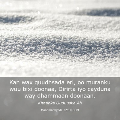 Picture 03 - Maahmaahyadii 22:10 SOM - Kan wax quudhsada eri, oo muranku wuu bixi - Bible Verse Picture