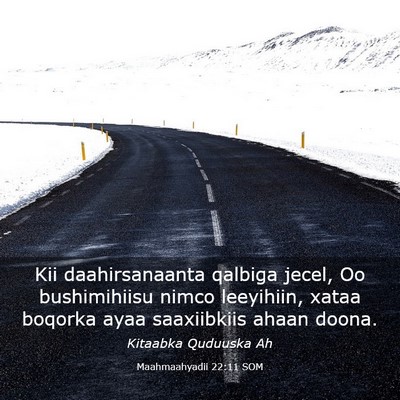 Picture 03 - Maahmaahyadii 22:11 SOM - Kii daahirsanaanta qalbiga jecel, Oo bushimihiisu - Bible Verse Picture