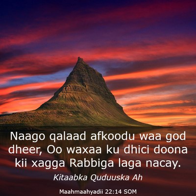 Picture 03 - Maahmaahyadii 22:14 SOM - Naago qalaad afkoodu waa god dheer, Oo waxaa ku - Bible Verse Picture