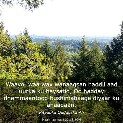 Picture 03 - Maahmaahyadii 22:18 SOM - Waayo, waa wax wanaagsan haddii aad uurka ku - Bible Verse Picture