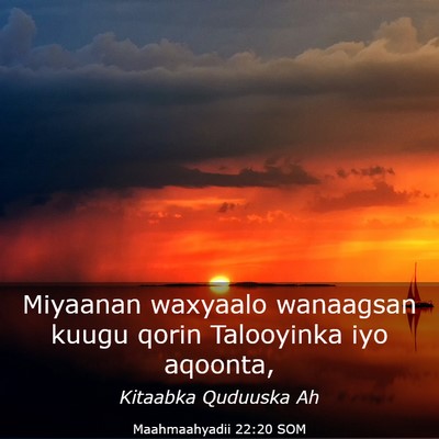 Picture 03 - Maahmaahyadii 22:20 SOM - Miyaanan waxyaalo wanaagsan kuugu qorin - Bible Verse Picture