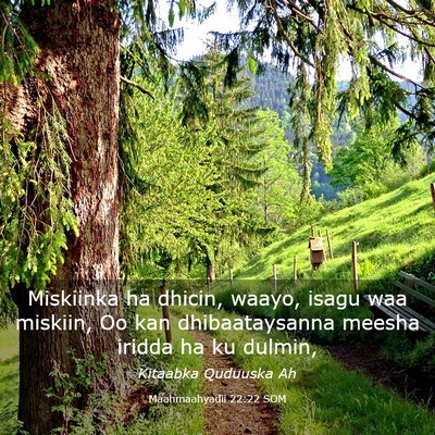 Picture 03 - Maahmaahyadii 22:22 SOM - Miskiinka ha dhicin, waayo, isagu waa miskiin, Oo - Bible Verse Picture