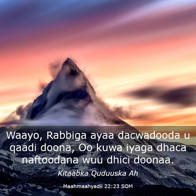 Picture 03 - Maahmaahyadii 22:23 SOM - Waayo, Rabbiga ayaa dacwadooda u qaadi doona, Oo - Bible Verse Picture