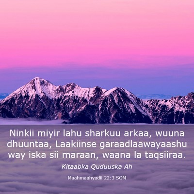 Picture 03 - Maahmaahyadii 22:3 SOM - Ninkii miyir lahu sharkuu arkaa, wuuna dhuuntaa, - Bible Verse Picture