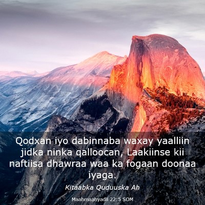 Picture 03 - Maahmaahyadii 22:5 SOM - Qodxan iyo dabinnaba waxay yaalliin jidka ninka - Bible Verse Picture