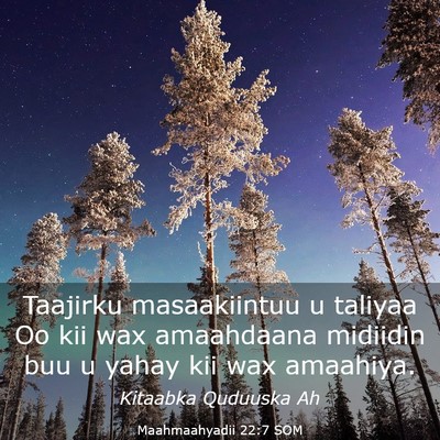 Picture 03 - Maahmaahyadii 22:7 SOM - Taajirku masaakiintuu u taliyaa Oo kii wax - Bible Verse Picture