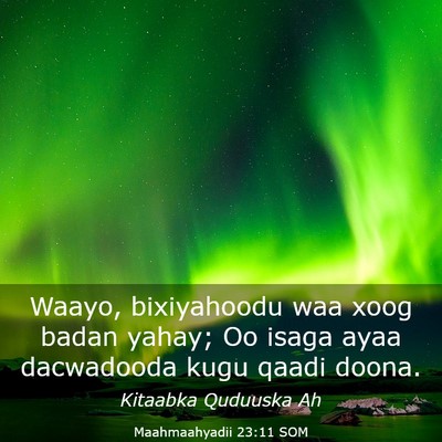 Picture 03 - Maahmaahyadii 23:11 SOM - Waayo, bixiyahoodu waa xoog badan yahay; Oo isaga - Bible Verse Picture