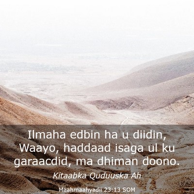 Picture 03 - Maahmaahyadii 23:13 SOM - Ilmaha edbin ha u diidin, Waayo, haddaad isaga ul - Bible Verse Picture