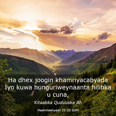 Picture 03 - Maahmaahyadii 23:20 SOM - Ha dhex joogin khamriyacabyada Iyo kuwa - Bible Verse Picture