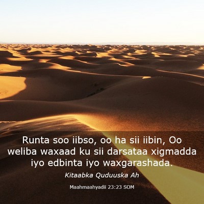 Picture 03 - Maahmaahyadii 23:23 SOM - Runta soo iibso, oo ha sii iibin, Oo weliba - Bible Verse Picture