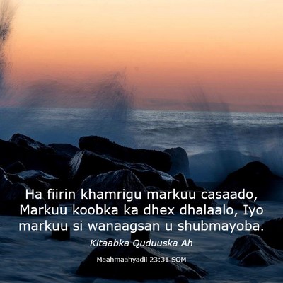 Picture 03 - Maahmaahyadii 23:31 SOM - Ha fiirin khamrigu markuu casaado, Markuu koobka - Bible Verse Picture