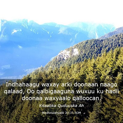 Picture 03 - Maahmaahyadii 23:33 SOM - Indhahaagu waxay arki doonaan naago qalaad, Oo - Bible Verse Picture