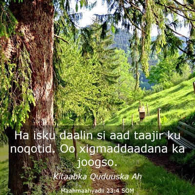Picture 03 - Maahmaahyadii 23:4 SOM - Ha isku daalin si aad taajir ku noqotid. Oo - Bible Verse Picture