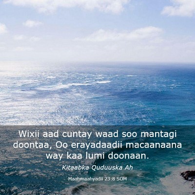 Picture 03 - Maahmaahyadii 23:8 SOM - Wixii aad cuntay waad soo mantagi doontaa, Oo - Bible Verse Picture