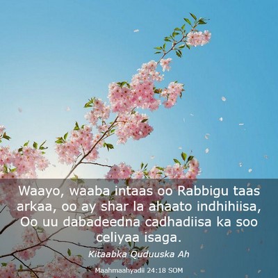 Picture 03 - Maahmaahyadii 24:18 SOM - Waayo, waaba intaas oo Rabbigu taas arkaa, oo ay - Bible Verse Picture