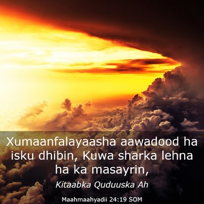 Picture 03 - Maahmaahyadii 24:19 SOM - Xumaanfalayaasha aawadood ha isku dhibin, Kuwa - Bible Verse Picture