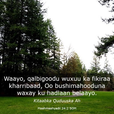 Picture 03 - Maahmaahyadii 24:2 SOM - Waayo, qalbigoodu wuxuu ka fikiraa kharribaad, Oo - Bible Verse Picture