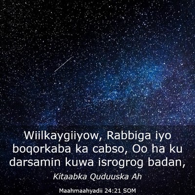 Picture 03 - Maahmaahyadii 24:21 SOM - Wiilkaygiiyow, Rabbiga iyo boqorkaba ka cabso, Oo - Bible Verse Picture