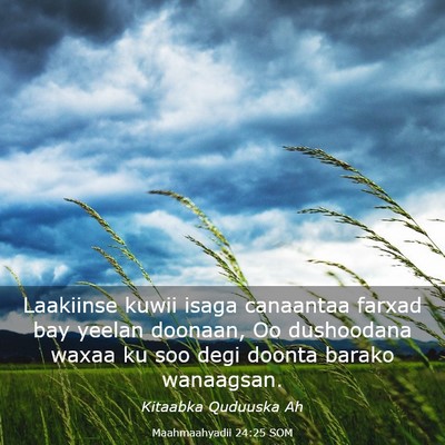 Picture 03 - Maahmaahyadii 24:25 SOM - Laakiinse kuwii isaga canaantaa farxad bay yeelan - Bible Verse Picture