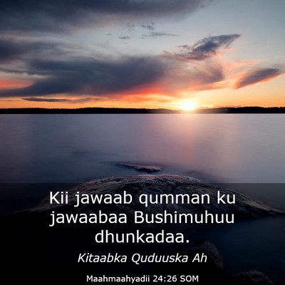 Picture 03 - Maahmaahyadii 24:26 SOM - Kii jawaab qumman ku jawaabaa Bushimuhuu - Bible Verse Picture