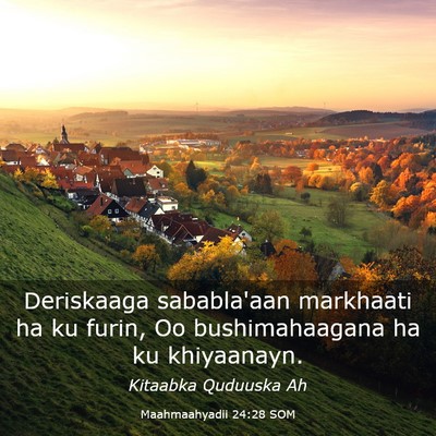 Picture 03 - Maahmaahyadii 24:28 SOM - Deriskaaga sababla'aan markhaati ha ku furin, Oo - Bible Verse Picture