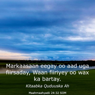 Picture 03 - Maahmaahyadii 24:32 SOM - Markaasaan eegay oo aad uga fiirsaday, Waan - Bible Verse Picture