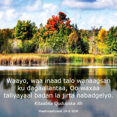 Picture 03 - Maahmaahyadii 24:6 SOM - Waayo, waa inaad talo wanaagsan ku dagaallantaa, - Bible Verse Picture