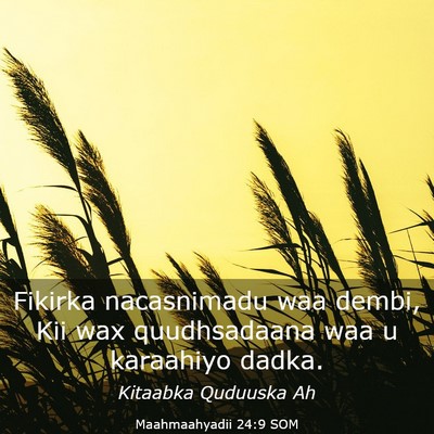 Picture 03 - Maahmaahyadii 24:9 SOM - Fikirka nacasnimadu waa dembi, Kii wax - Bible Verse Picture