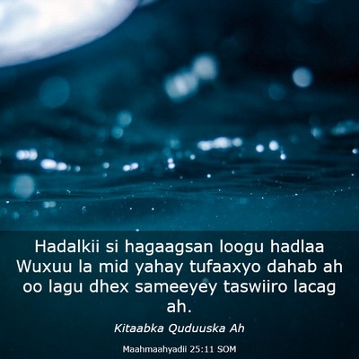 Picture 03 - Maahmaahyadii 25:11 SOM - Hadalkii si hagaagsan loogu hadlaa Wuxuu la mid - Bible Verse Picture