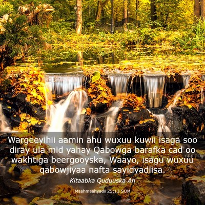 Picture 03 - Maahmaahyadii 25:13 SOM - Wargeeyihii aamin ahu wuxuu kuwii isaga soo diray - Bible Verse Picture